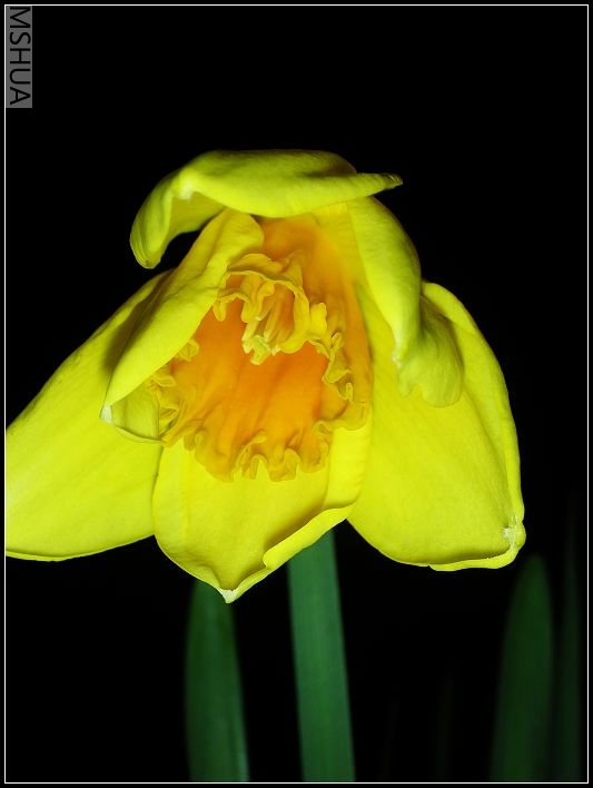 ��ɫ����̨ 004_nEO_IMG.jpg