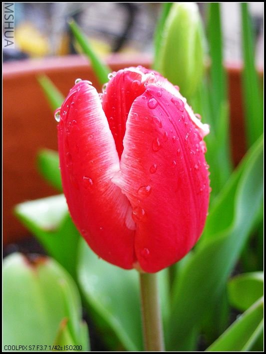 ��ɫ����̨ 039_nEO_IMG.jpg