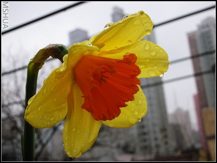 ��ɫ����̨ 037_nEO_IMG.jpg