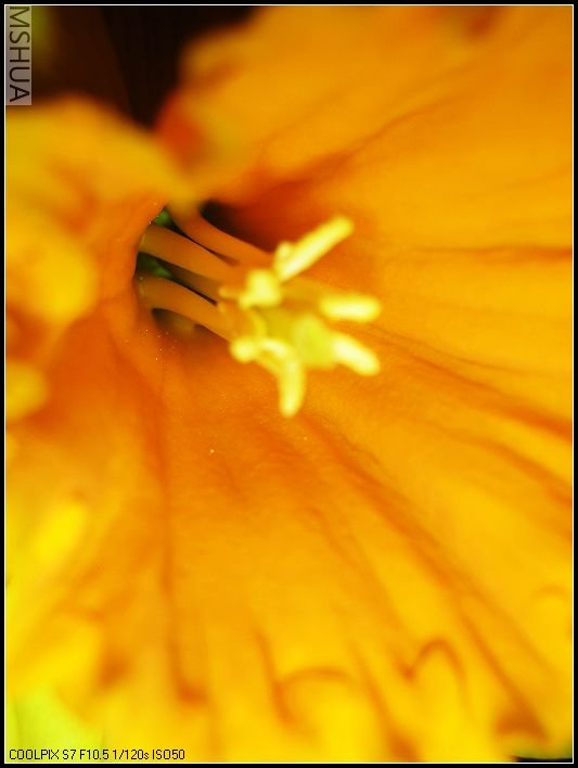 ��ɫ����̨ 025_nEO_IMG.jpg