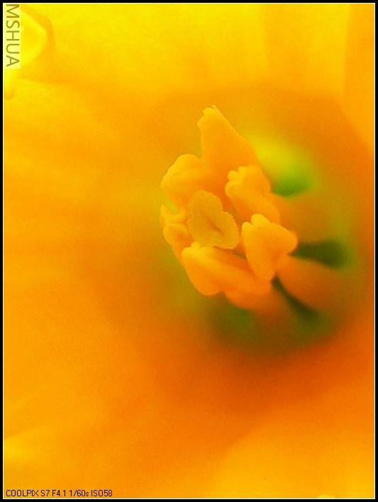 ��ɫ����̨ 017_nEO_IMG.jpg