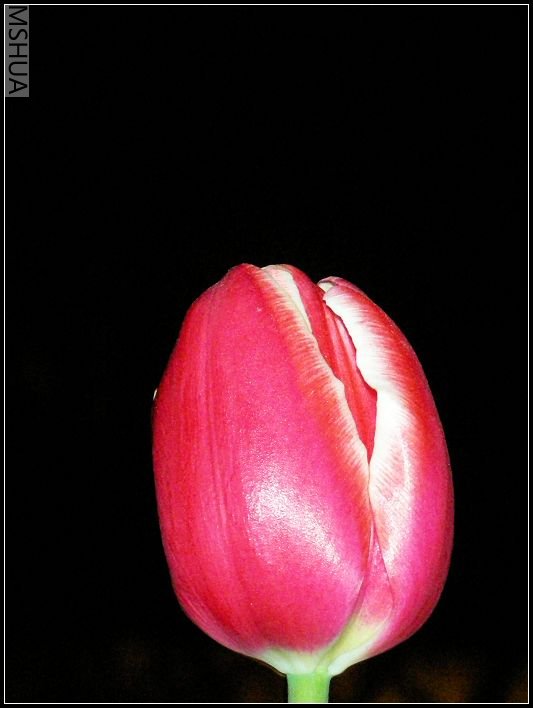 ��ɫ����̨ 001_nEO_IMG.jpg