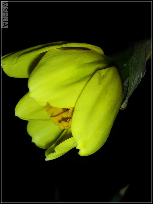 ��ɫ����̨ 005_nEO_IMG.jpg