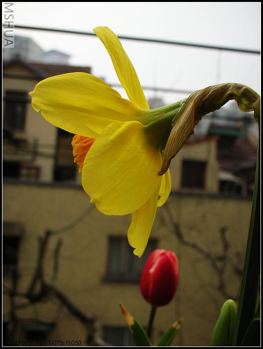 ��ɫ����̨ 014_nEO_IMG.jpg