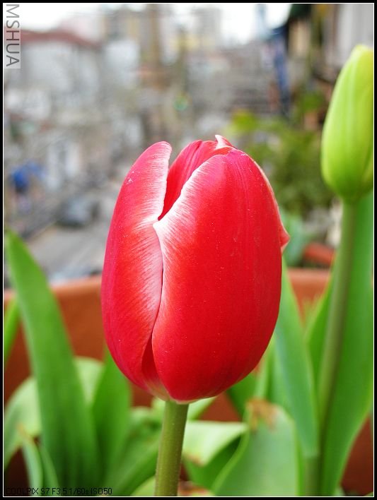 ��ɫ����̨ 065_nEO_IMG.jpg