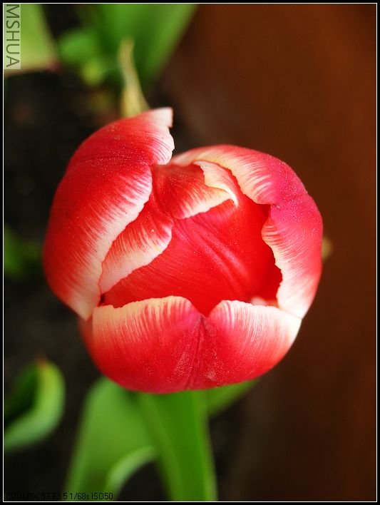 ��ɫ����̨ 022_nEO_IMG.jpg