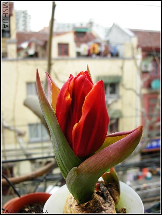 �̲��ӵ���˹Ҳ���Ͳ�ס��