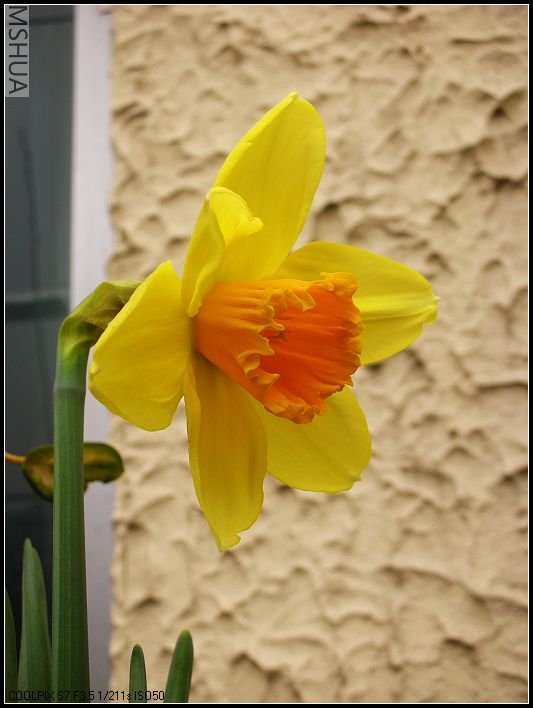 ��ɫ����̨ 015_nEO_IMG.jpg