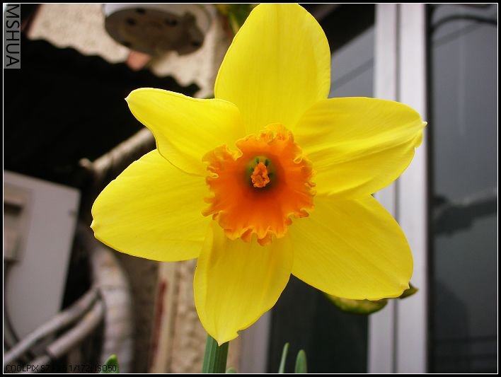 ��ɫ����̨ 012_nEO_IMG.jpg