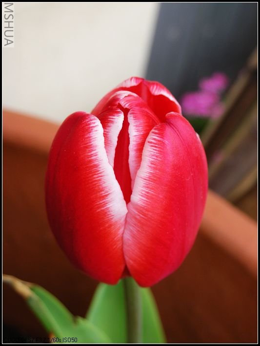 ��ɫ����̨ 064_nEO_IMG.jpg