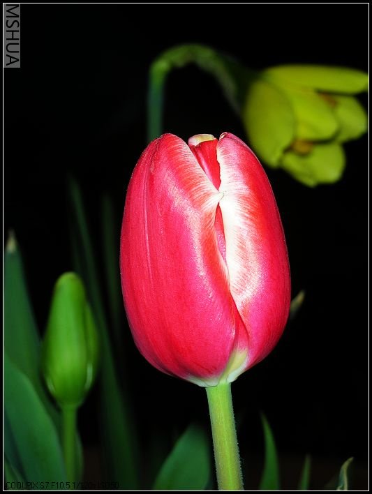 ��ɫ����̨ 008_nEO_IMG.jpg