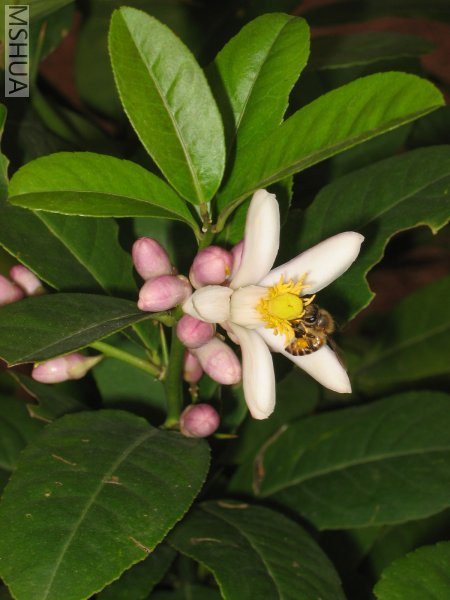 ���ʻ����������۷��ڷ�,������������ջ�.