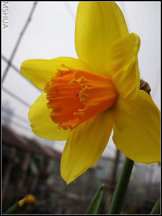 ��ɫ����̨ 013_nEO_IMG.jpg