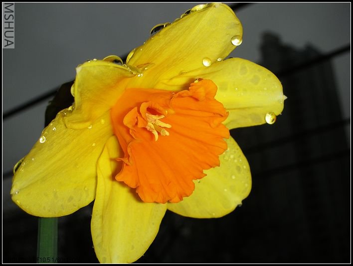 ��ɫ����̨ 036_nEO_IMG.jpg