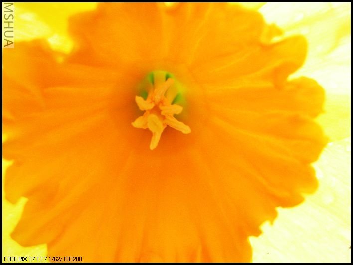 ��ɫ����̨ 041_nEO_IMG.jpg