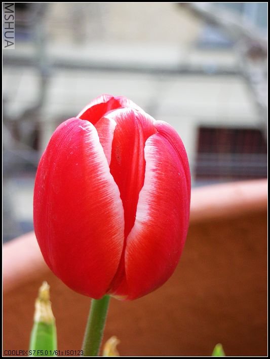 ��ɫ����̨ 052_nEO_IMG.jpg