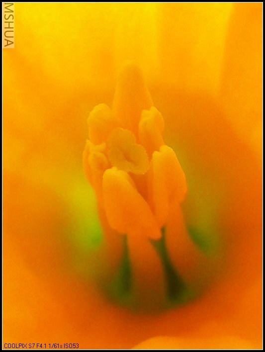 ��ɫ����̨ 016_nEO_IMG.jpg