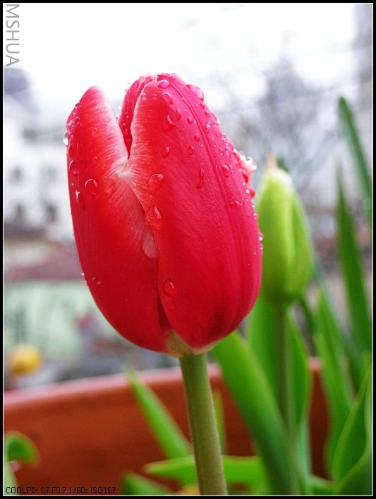 ��ɫ����̨ 040_nEO_IMG.jpg