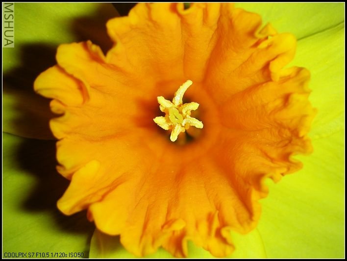 ��ɫ����̨ 024_nEO_IMG.jpg