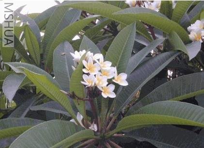 ������ʱ��