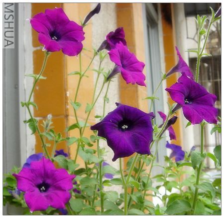 ���ſ��ž�û����Ȧ��