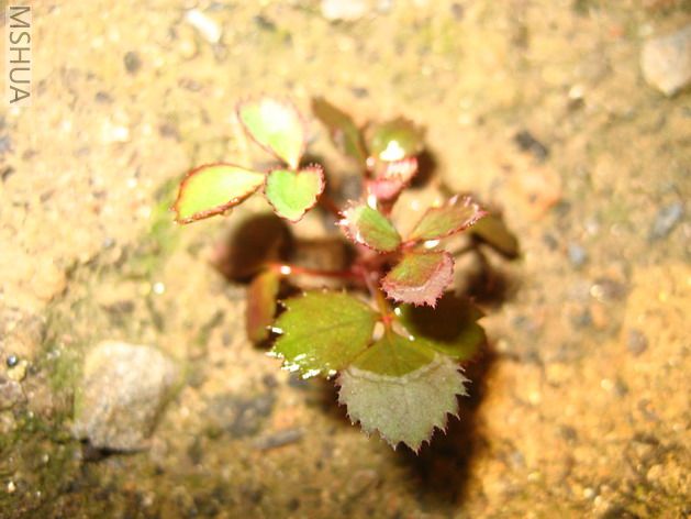 ��Ƭ 396_��С��С.jpg