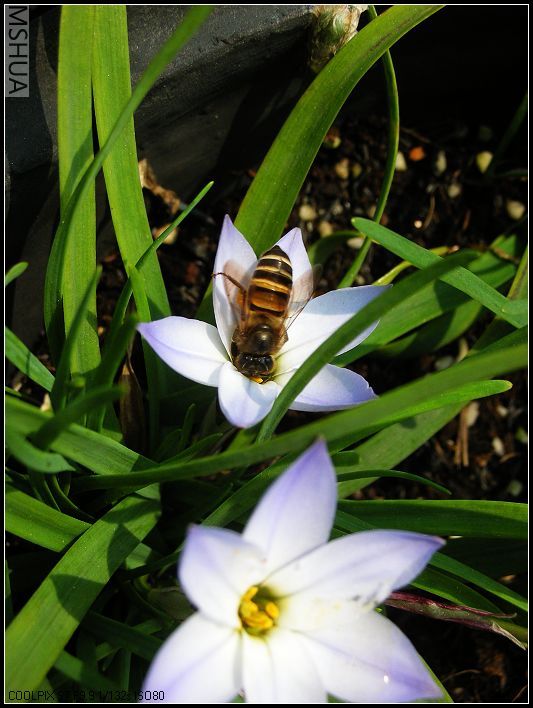 ���޴�ɫ 023_nEO_IMG.jpg