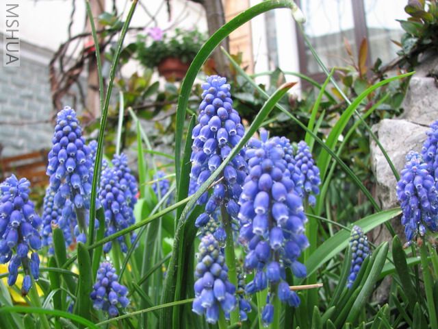 IMG_0104_resize.JPG
