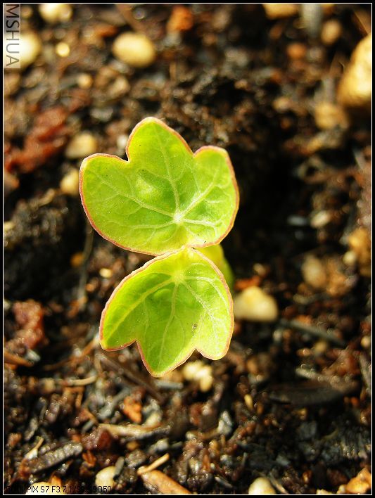 ���޴�ɫ 048_nEO_IMG.jpg