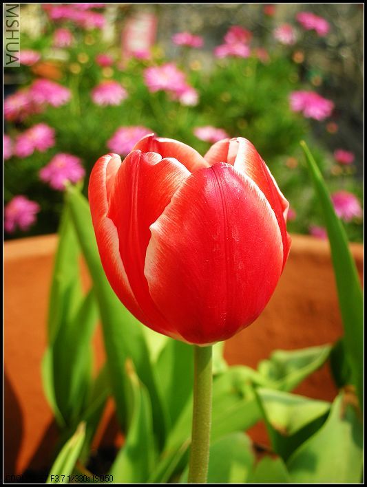 ���޴�ɫ 016_nEO_IMG.jpg