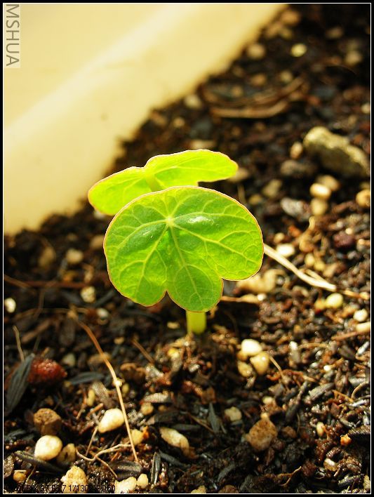 ���޴�ɫ 046_nEO_IMG.jpg