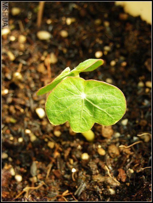 ���޴�ɫ 047_nEO_IMG.jpg