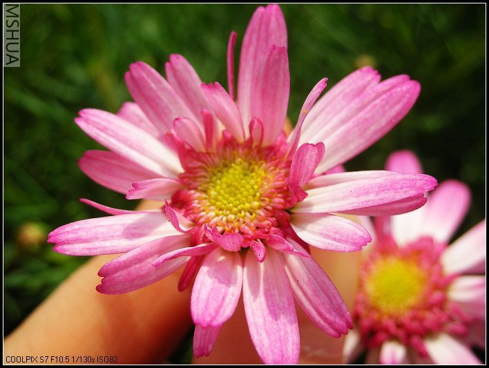 ���޴�ɫ 040_nEO_IMG.jpg