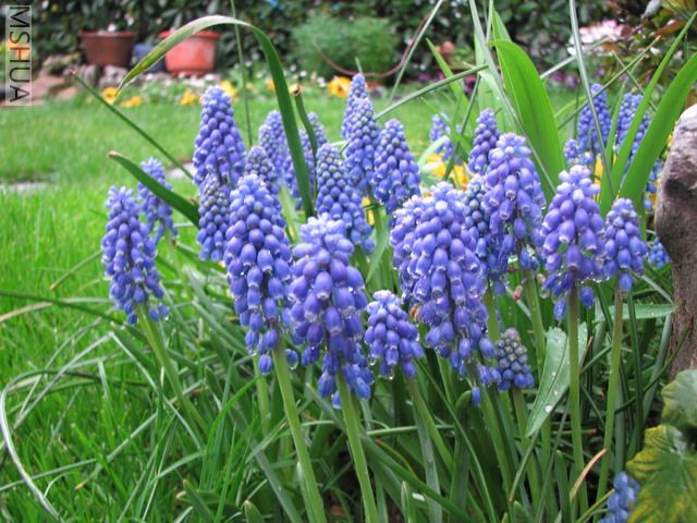 IMG_0102_resize.JPG