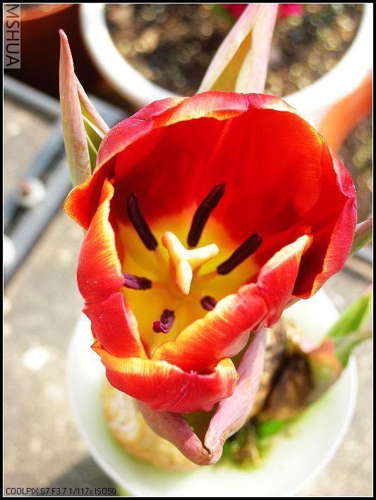 ���޴�ɫ 002_nEO_IMG.jpg