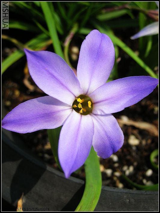 ���޴�ɫ 021_nEO_IMG.jpg