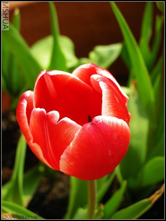 ���޴�ɫ 007_nEO_IMG.jpg