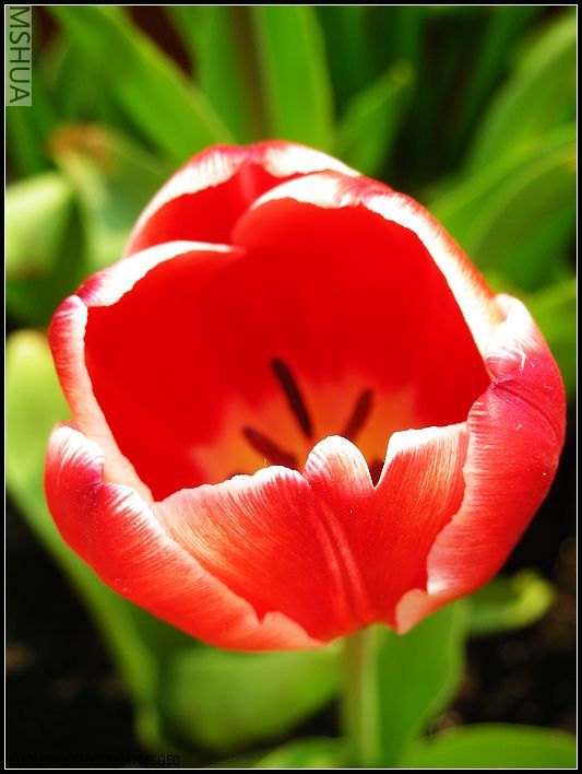 ���޴�ɫ 011_nEO_IMG.jpg