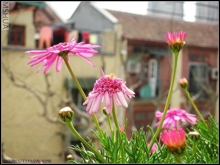 ���޴�ɫ 043_nEO_IMG.jpg