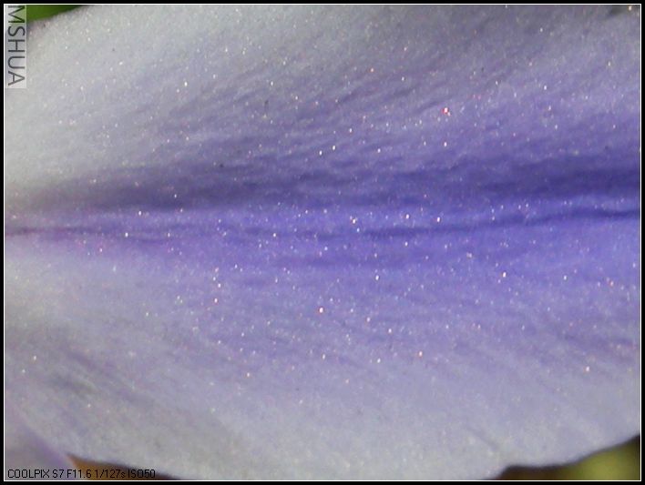 �������е�������