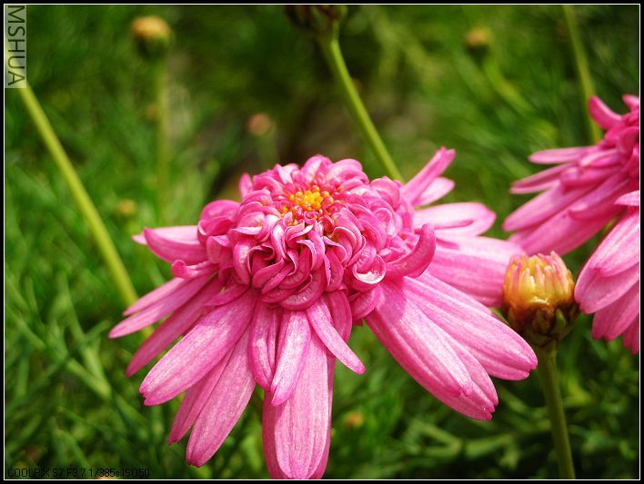 ���޴�ɫ 041_nEO_IMG.jpg