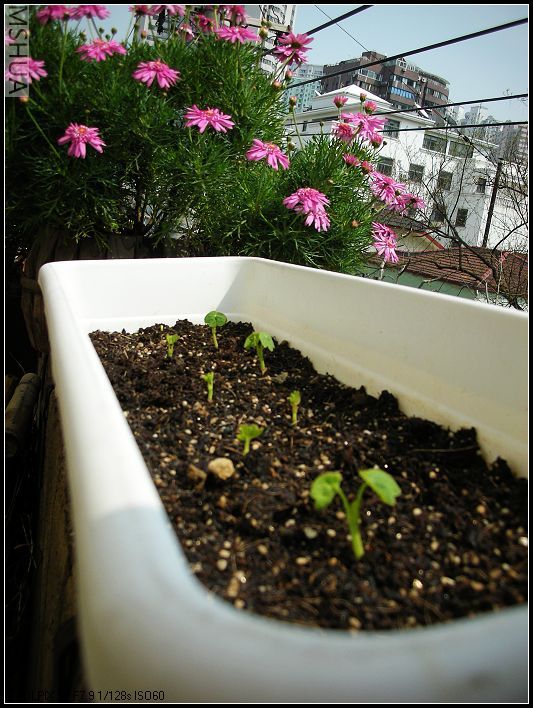 ��С��jjѧϰ,Ҫ�úÿ���Ŷ!