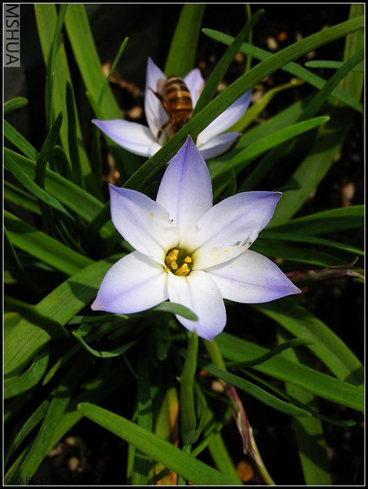 ���޴�ɫ 022_nEO_IMG.jpg