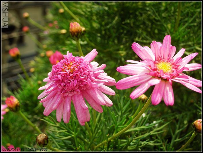 ���޴�ɫ 042_nEO_IMG.jpg