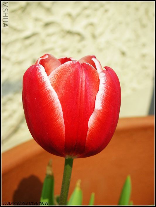 ���޴�ɫ 012_nEO_IMG.jpg