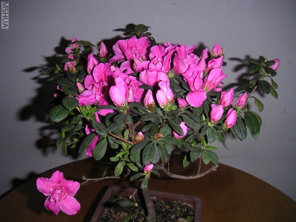 ������С 5Ԫ�ļ޽Ӷž�2.jpg