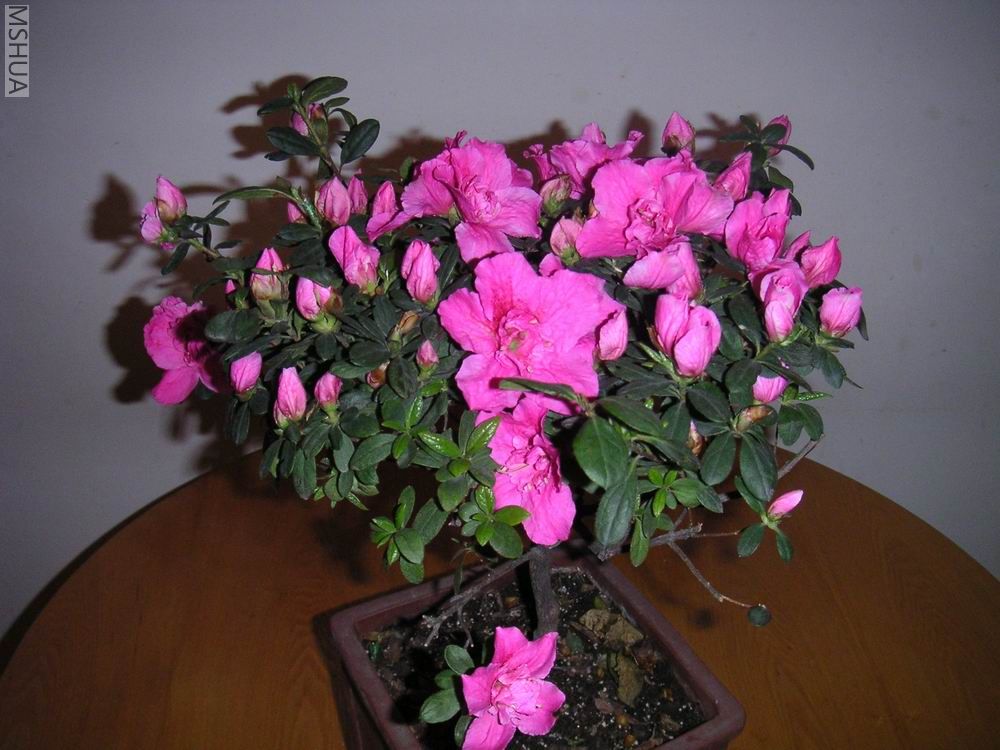 ������С 5Ԫ�ļ޽Ӷž�1.jpg