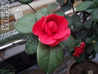 100_78023.jpg