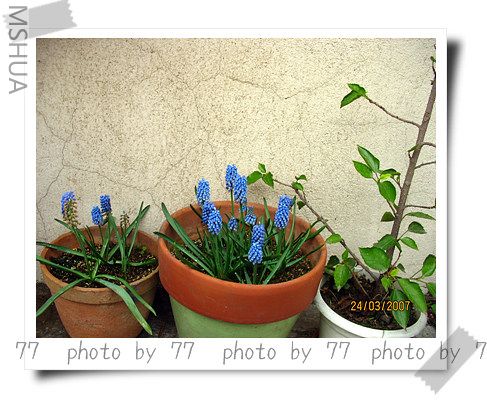 IMG_1585.jpg