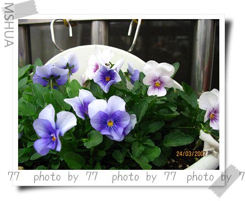 IMG_1578.jpg